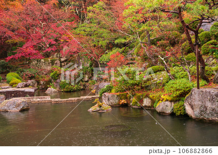 滋賀県 湖東三山の1つ百済寺百済寺の秋の紅葉を撮影 106882866
