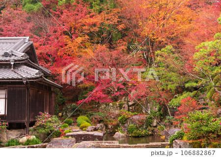 滋賀県 湖東三山の1つ百済寺百済寺の秋の紅葉を撮影 滋賀県 湖東三山の1つ百済寺百済寺の秋の紅葉を撮影 106882867