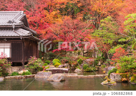 滋賀県 湖東三山の1つ百済寺百済寺の秋の紅葉を撮影 滋賀県 湖東三山の1つ百済寺百済寺の秋の紅葉を撮影 106882868