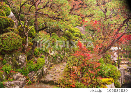 滋賀県 湖東三山の1つ百済寺百済寺の秋の紅葉を撮影 滋賀県 湖東三山の1つ百済寺百済寺の秋の紅葉を撮影 106882880