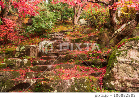 滋賀県 湖東三山の1つ百済寺百済寺の秋の紅葉を撮影 滋賀県 湖東三山の1つ百済寺百済寺の秋の紅葉を撮影 106882885