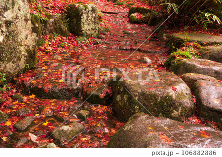 滋賀県 湖東三山の1つ百済寺百済寺の秋の紅葉を撮影 106882886