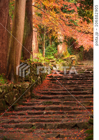 滋賀県 湖東三山の1つ百済寺百済寺の秋の紅葉を撮影 滋賀県 湖東三山の1つ百済寺百済寺の秋の紅葉を撮影 106882905