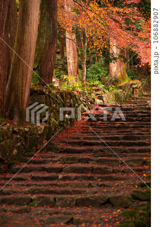 滋賀県 湖東三山の1つ百済寺百済寺の秋の紅葉を撮影 106882907