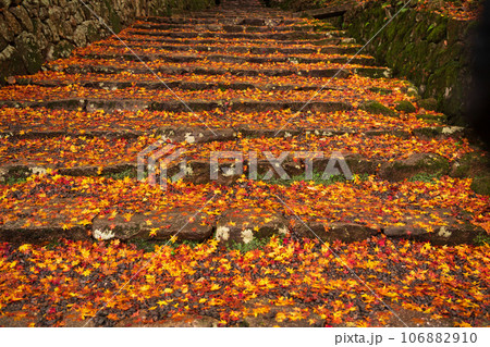 滋賀県 湖東三山の1つ百済寺百済寺の秋の紅葉を撮影 滋賀県 湖東三山の1つ百済寺百済寺の秋の紅葉を撮影 106882910