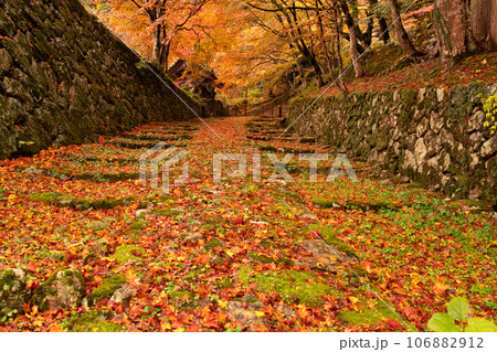 滋賀県 湖東三山の1つ百済寺百済寺の秋の紅葉を撮影 滋賀県 湖東三山の1つ百済寺百済寺の秋の紅葉を撮影 106882912