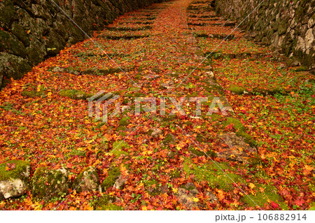 滋賀県 湖東三山の1つ百済寺百済寺の秋の紅葉を撮影 滋賀県 湖東三山の1つ百済寺百済寺の秋の紅葉を撮影 106882914