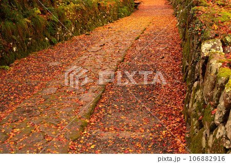 滋賀県 湖東三山の1つ百済寺百済寺の秋の紅葉を撮影 106882916