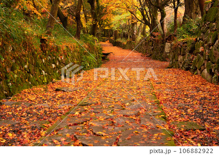 滋賀県 湖東三山の1つ百済寺百済寺の秋の紅葉を撮影 滋賀県 湖東三山の1つ百済寺百済寺の秋の紅葉を撮影 106882922