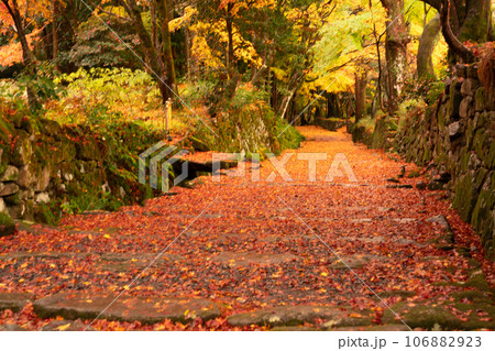 滋賀県 湖東三山の1つ百済寺百済寺の秋の紅葉を撮影 106882923