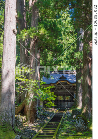 福井 夏の木漏れ日と緑の苔に彩られた永平寺の唐門 106883082
