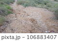 mud road going from center in balochistan pakistan 106883407