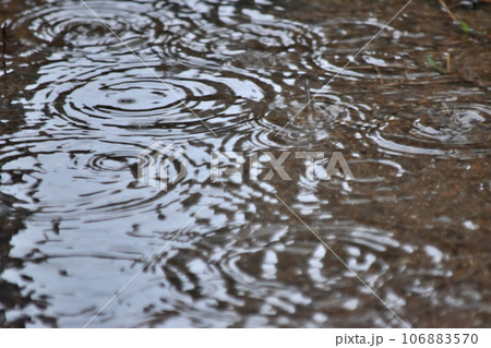 雨の波紋 雨の波紋 106883570