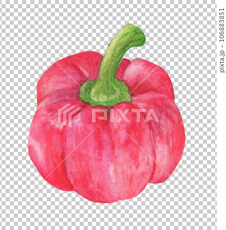 Watercolor painting of Fresh vegetables sweet pepper. 106883851