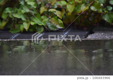 雨のリフレクション 雨のリフレクション 106883966
