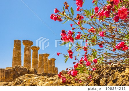 Temple of Heracles in Valley of the Temples. Archaeological site 106884211