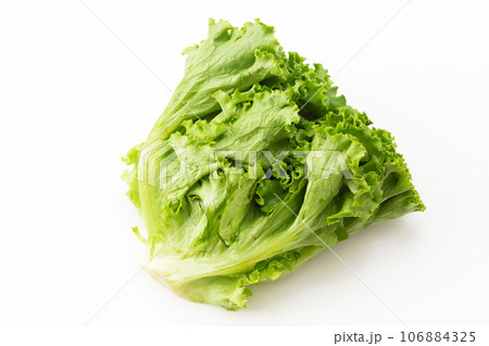 リーフレタス 106884325