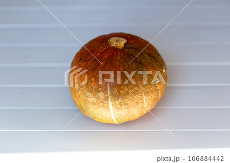 夏野菜 物撮り 南瓜 夏野菜 物撮り 南瓜 106884442