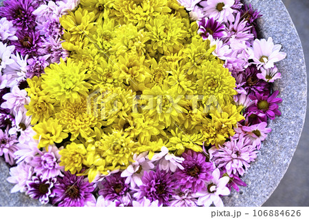 花手水 花手水 106884626