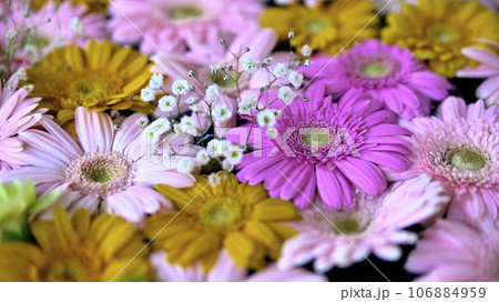 花手水 花手水 106884959