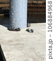 休んでいる鳩 106884968