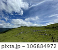 カルストの風景 106884972
