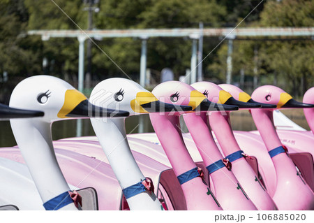 鳥のペダルボート 106885020