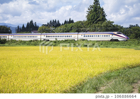 稲穂の中を走る山形新幹線 106886664