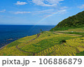 白米千枚田 106886879