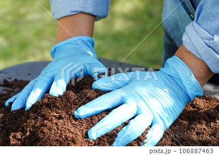 Peat moss, fertilizer soil for organic agriculture, plant growing, ecology concept. 106887463