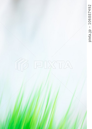 Amazing green plants blurred greenery background. Blurred defocused background Amazing green plants blurred greenery background. Blurred defocused background 106887492