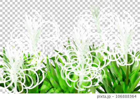 Hamamin flower card 1 Hamamin flower card 1 106888364