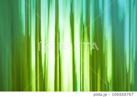 Bokeh in green natural tree leaves background Bokeh in green natural tree leaves background 106888767