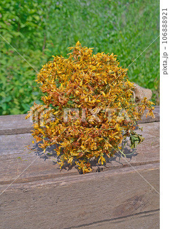 Hypericum perforatum dried Hypericum perforatum dried 106888921