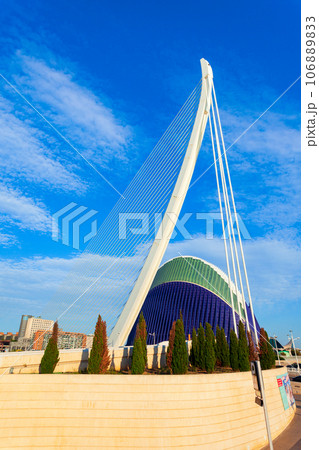 The City of Arts and Sciences in Valencia, Spain 106889833