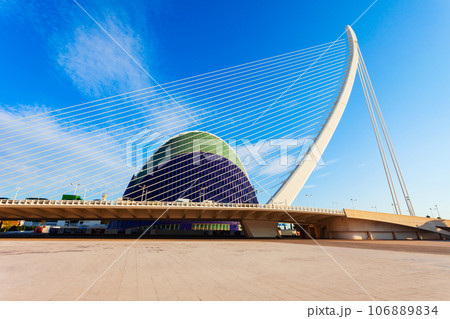 The City of Arts and Sciences in Valencia, Spain 106889834