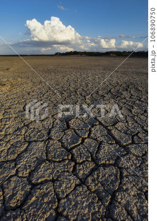 Broken dry soil in a Pampas lagoon, La Pampa province, Patagonia, Argentina. 106890750