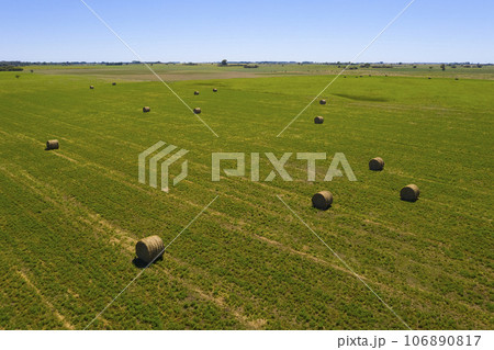 Grass bale, grass storage in La Pampa countryside, Patagonia,Argentina. Grass bale, grass storage in La Pampa countryside, Patagonia,Argentina. 106890817