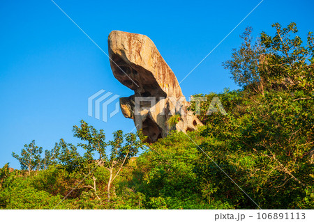 Toad rock in Mount Abu, India 106891113