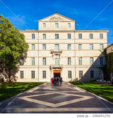 Musee Fabre museum in Montpellier 106891250