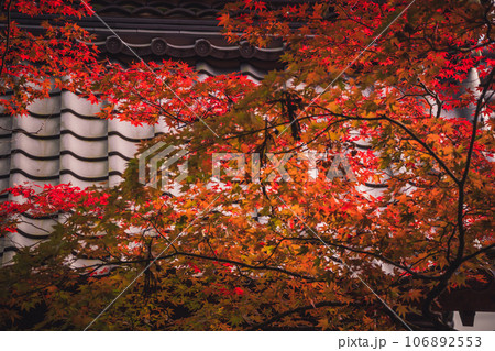 地元で愛される紅葉の名所京都府亀岡市神蔵寺を撮影 106892553