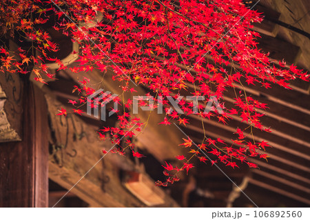 地元で愛される紅葉の名所京都府亀岡市神蔵寺を撮影 地元で愛される紅葉の名所京都府亀岡市神蔵寺を撮影 106892560