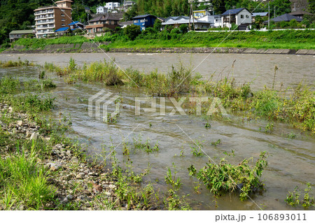 雨上がりの増水した広瀬川 雨上がりの増水した広瀬川 106893011