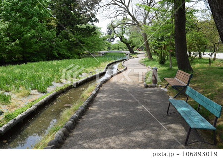公園のベンチ 公園のベンチ 106893019