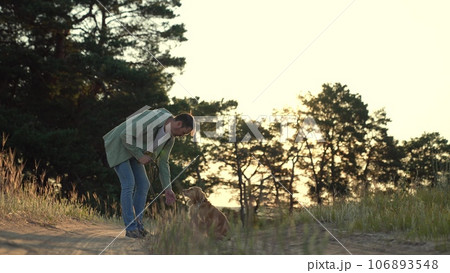 Loving man strokes friendly cocker spaniel dog sitting on rural road pet owner strokes calm cocker spaniel dog spending time in park man strokes purebred dog resting in summer field at sunset Loving man strokes friendly cocker spaniel dog sitting on rural road pet owner strokes calm cocker spaniel dog spending time in park man strokes purebred dog resting in summer field at sunset 106893548