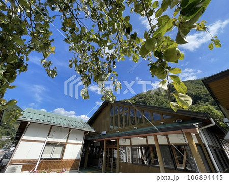 道の駅果樹公園あしがくぼにあるカリンの木 道の駅果樹公園あしがくぼにあるカリンの木 106894445