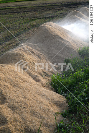 もみ殻白煙　収穫時期　秋の風景　荒川河川敷 106894837