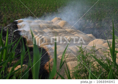 もみ殻白煙　収穫時期　秋の風景　荒川河川敷 106894841