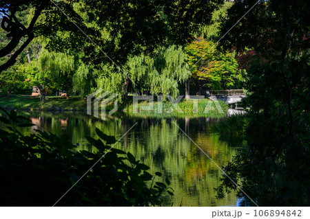 菖蒲池（札幌市中島公園）_3879 106894842