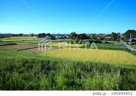 収穫時期 荒川土手からの景色 指扇駅方面 収穫時期 荒川土手からの景色 指扇駅方面 106894952
